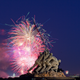 Illustration for article titled 75 Explosive Photos of Fireworks